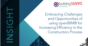 Construction_Domain_Insights