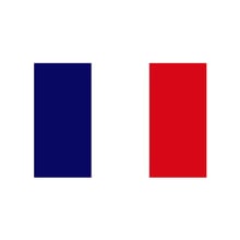 French flag square